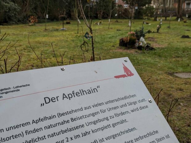 Apfelhain auf dem Friedhof Mölln